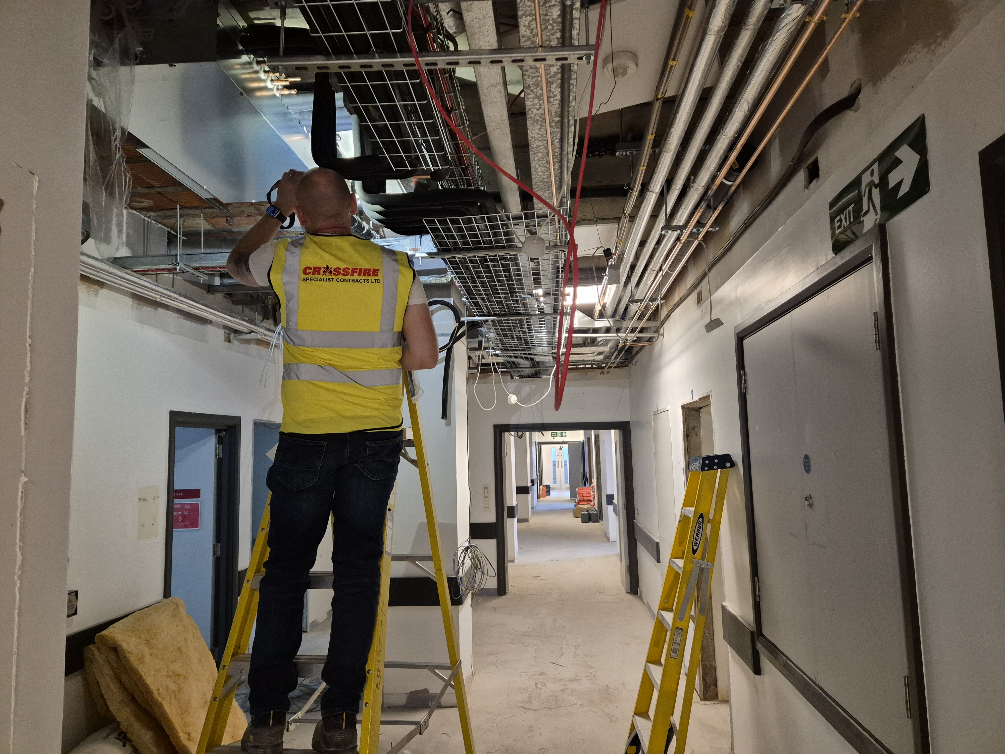 Crossfire Survey (7) (1)